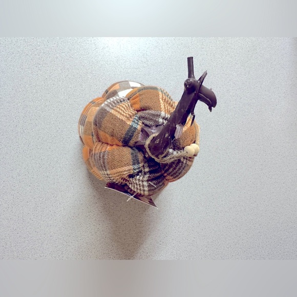 Fall decor - Picture 3 of 4